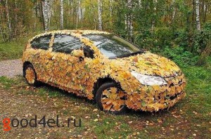 машина обклеена листьями, тема осень