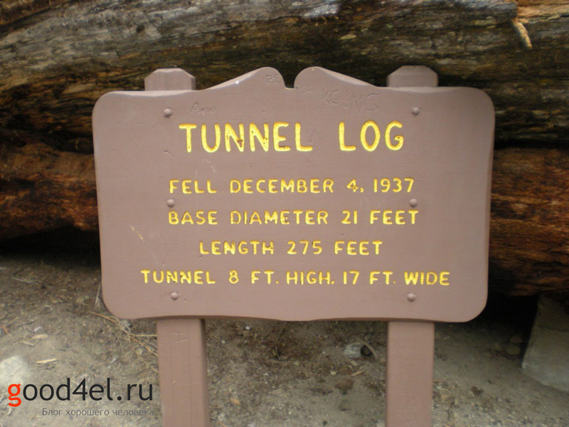 Tunnel Log туннель в парке Секвойя табличка туннеля
