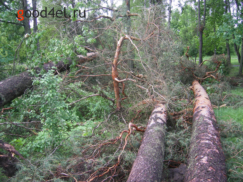 Последствия смерч ураган Клинцы 24.05.13 завал из деревьев